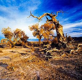 任天堂纽约商店举办《超级马里奥：惊奇》发售庆祝活动