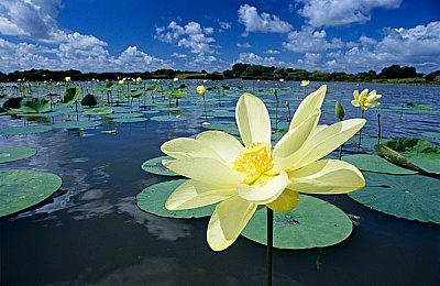 中式惊悚悬疑解谜游戏《三伏》定档 7月28日发售